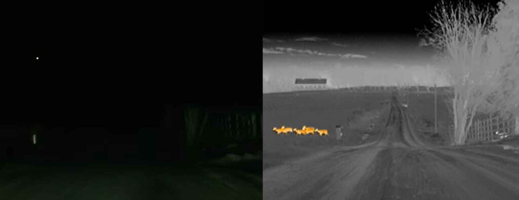 Niktovízia jazda v noci a vidieť zvieratá