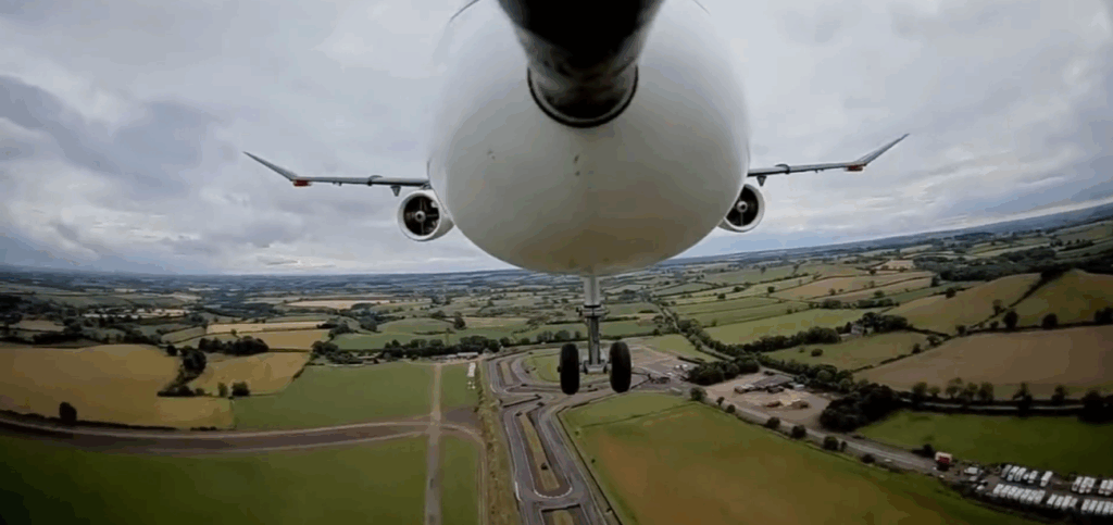 Albatros je majstrom v plachtení. Jeho schopnosť meniť tvar krídel inšpirovala inžinierov.