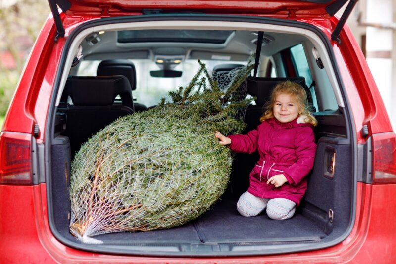 Pri preprave v kufri vložte stromček kmeňom dopredu a zabezpečte ho popruhmi. Stromček nesmie prečnievať viac než 1 meter za obrys vozidla.