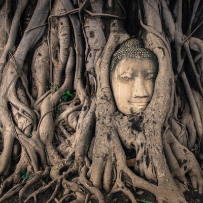 Hlava Budhu vrastená do koreňov stromu v chráme Wat Mahathat. Tento unikátny úkaz symbolizuje pretrvanie budhizmu napriek ničeniu.