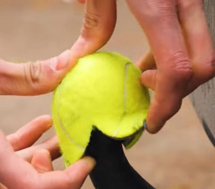 Tenisová loptička na guli ťažného zariadenia: Praktický trik alebo prežitok?