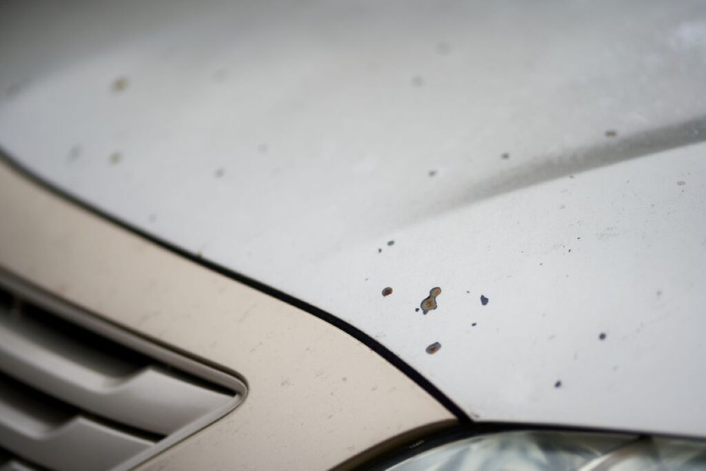 Hrdzavé bodky na kapote